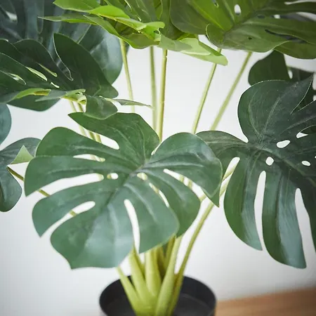 Apartament Pileckiego Nowy Dwór Mazowiecki Modlin Airport * Nowy Dwór Mazowiecki